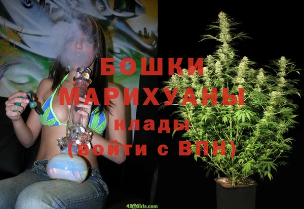 PSILOCYBIN Ростов