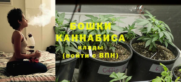 PSILOCYBIN Ростов