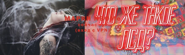 мяу мяу мука Абаза