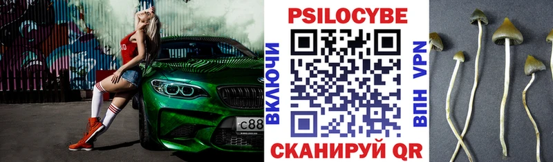 даркнет сайт  Болохово  Псилоцибиновые грибы GOLDEN TEACHER 